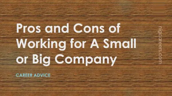 Pros and Cons of Working for A Small or Big Company