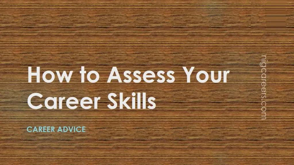 How to Assess Your Career Skills - NigCareers