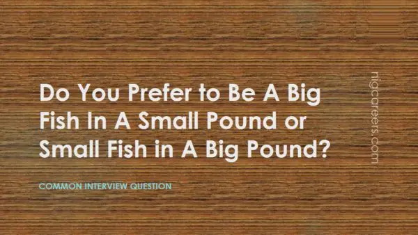 Do You Prefer to Be A Big Fish In A Small Pound or Small Fish in A Big Pound