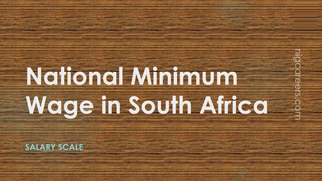 Minimum Wages in South Africa 2022 NigCareers