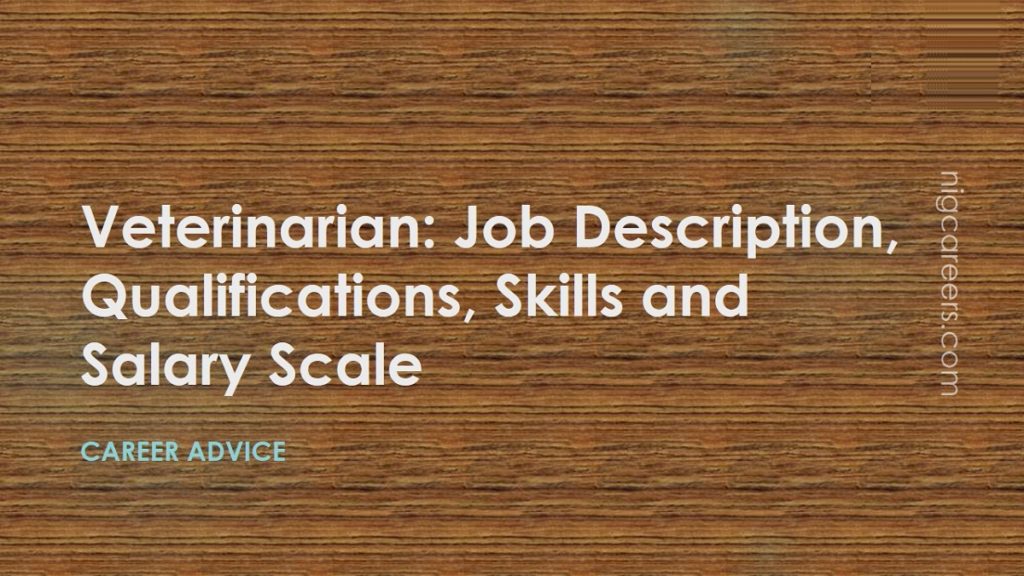 Veterinarian Job Description, Skills, and Salary