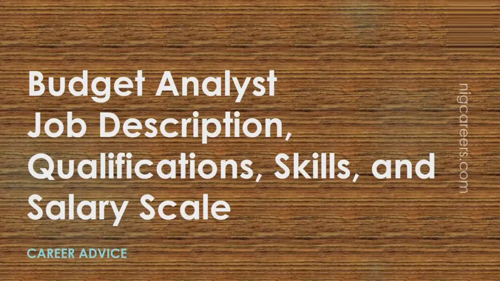 Budget Analyst Job Description Skills And Salary