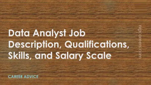 Data Analyst Job Description