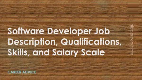Software Developer Job Description