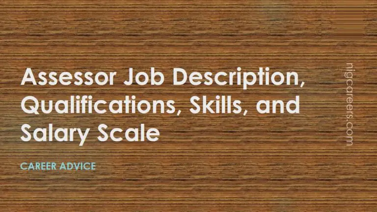 Insurance Assessor Job Description