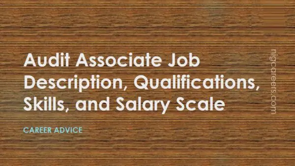 Audit Associate Job Description
