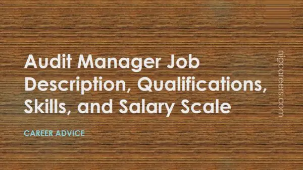 Audit Manager Job Description
