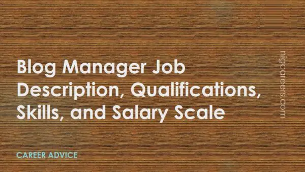 Blog Manager Job Description