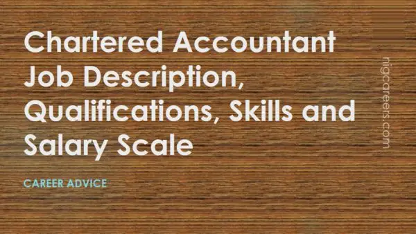 Chartered Accountant Job Description