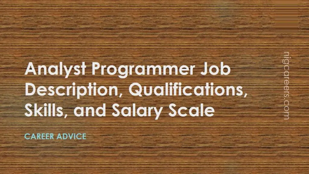 analyst-programmer-job-description-skills-and-salary