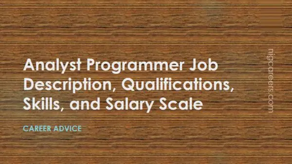 Analyst Programmer Job Description