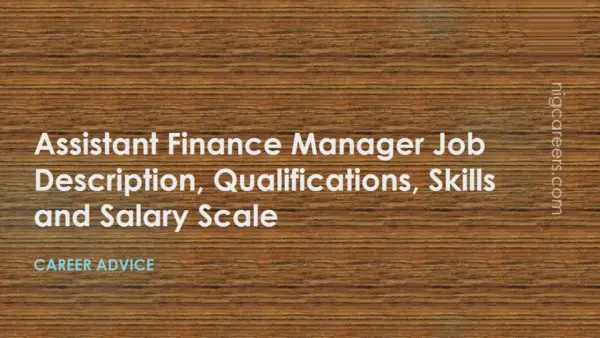 Assistant Finance Manager Job Description