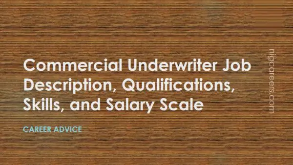 Commercial Underwriter Job Description