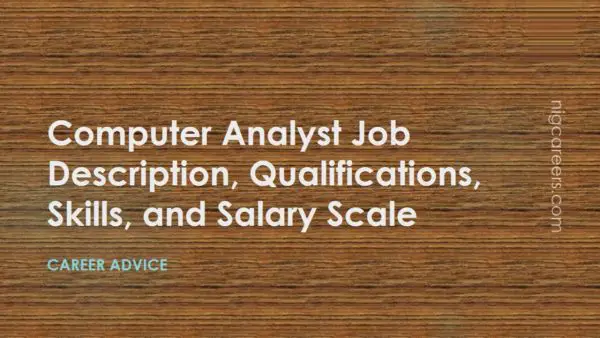 Computer Analyst Job Description