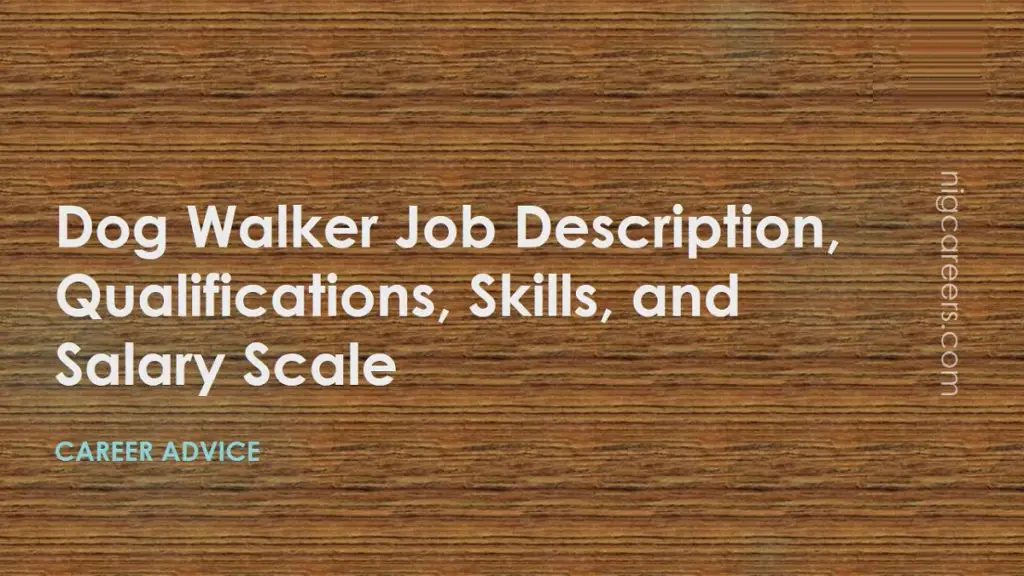 dog-walker-job-description-skills-and-salary-nigcareers