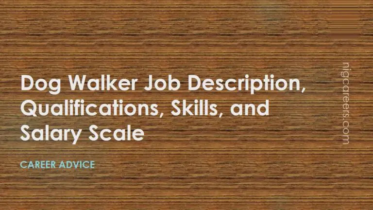 dog-walker-job-description-skills-and-salary-nigcareers