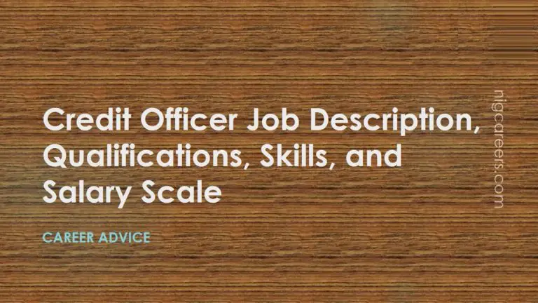 What Is The Role Of A Credit Officer