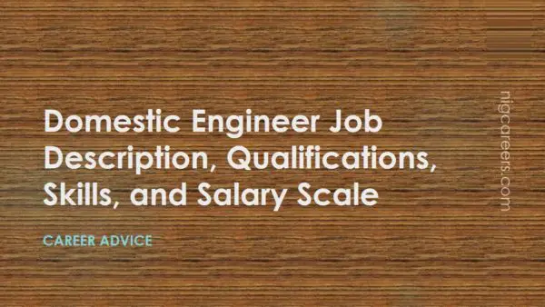 Domestic Engineer Job Description