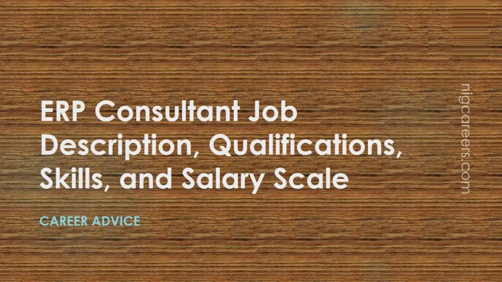 ERP Consultant Job Description Skills And Salary NigCareers