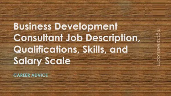 Business Development Consultant Job Description