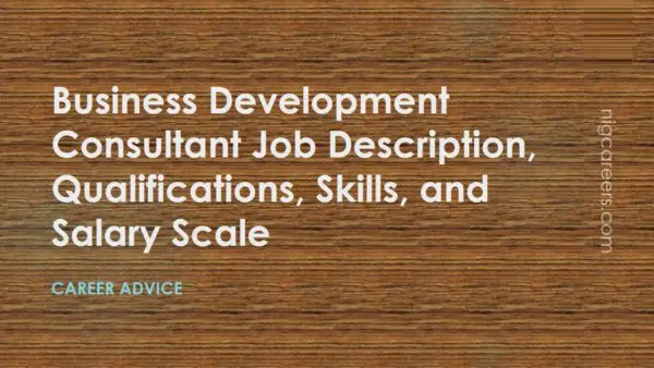 Business Development Consultant Job Description Skills And Salary