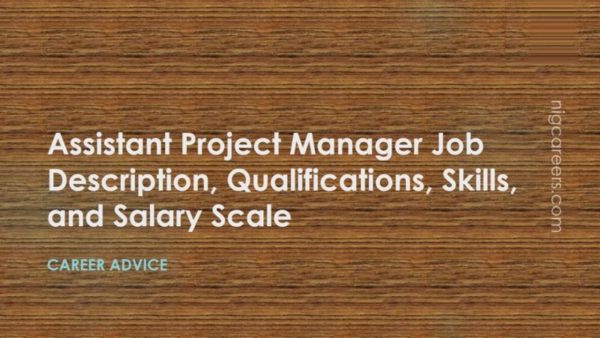 Assistant Project Manager Job Description