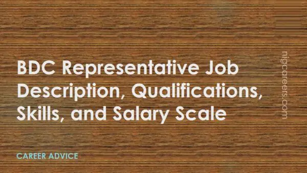 BDC Representative Job Description