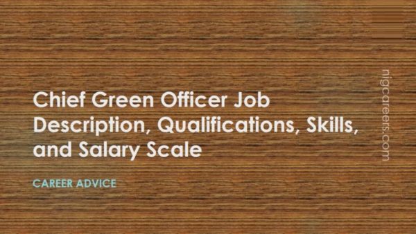 Chief Green Officer Job Description