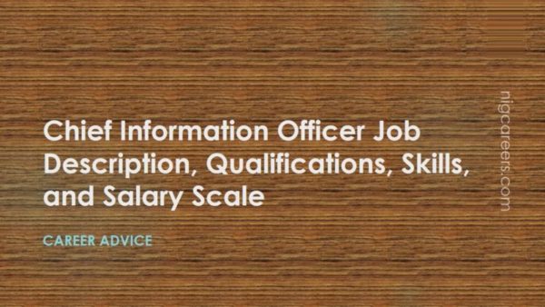 Chief Information Officer Job Description
