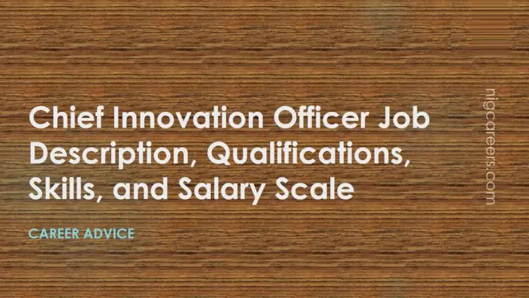 Chief Innovation Officer Job Description Pdf