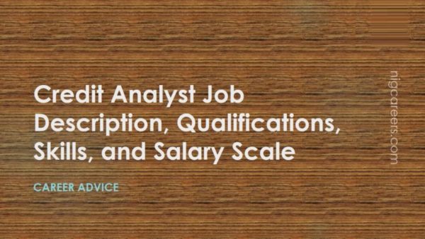Credit Analyst Job Description