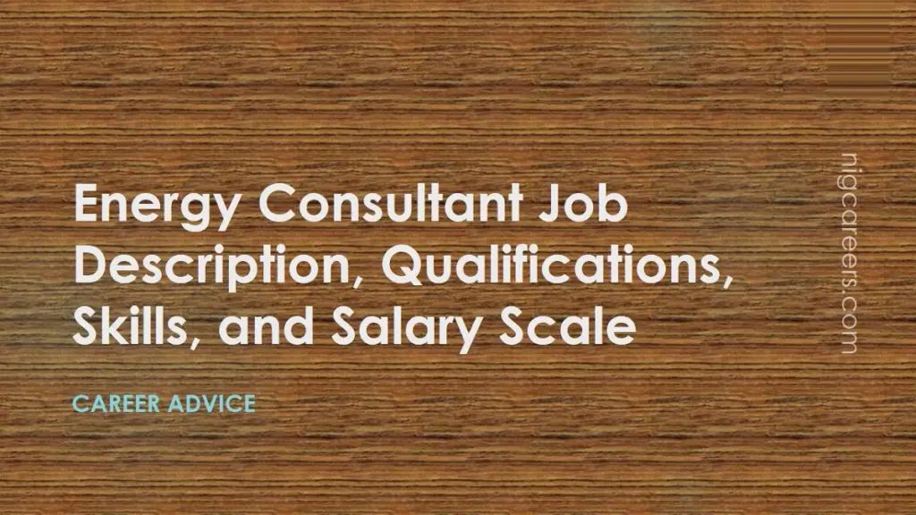 Senior Energy Consultant Salary