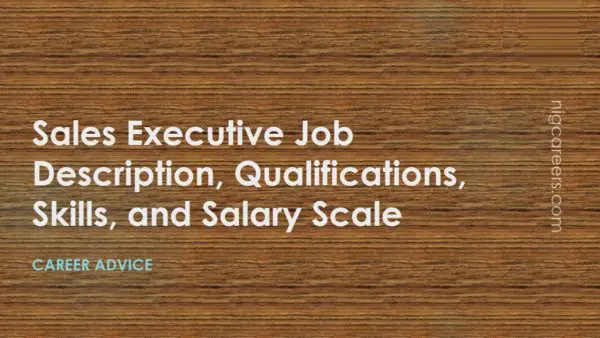 Sales Executive Job Description