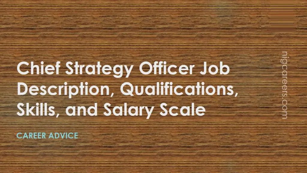 Chief Strategy Officer Job Description Skills And Salary