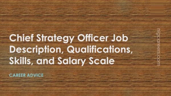 Chief Strategy Officer Job Description
