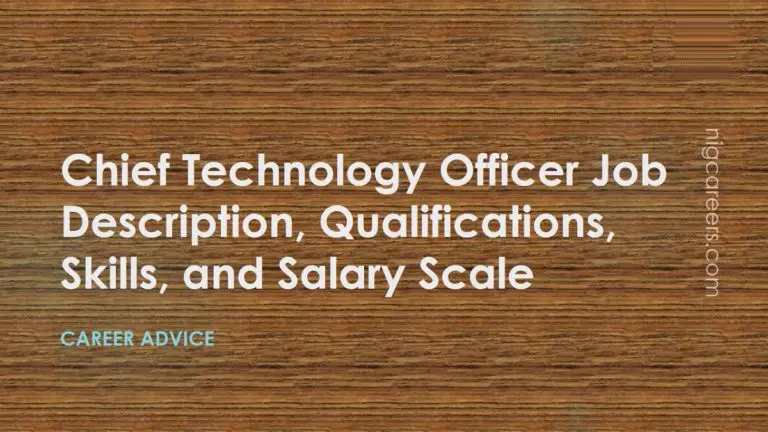 Chief Technology Officer Job Description Skills And Salary