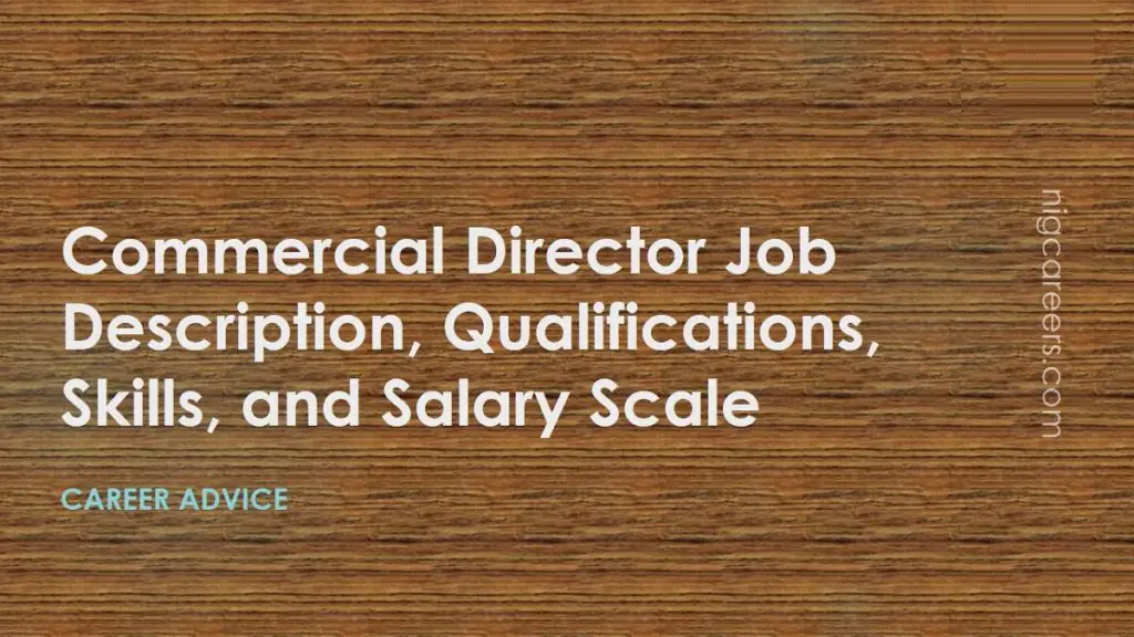 Commercial Director Job Description Skills And Salary