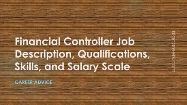 Financial Controller Job Description
