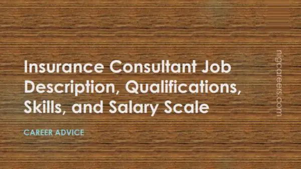 Insurance Consultant Job Description