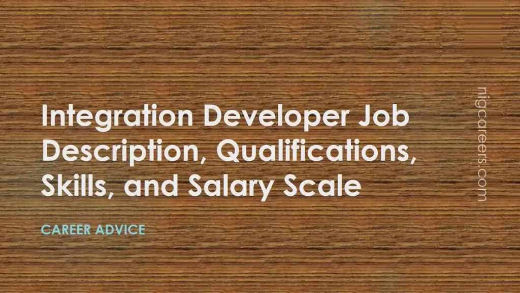 integration-developer-job-description-skills-and-salary-nigcareers