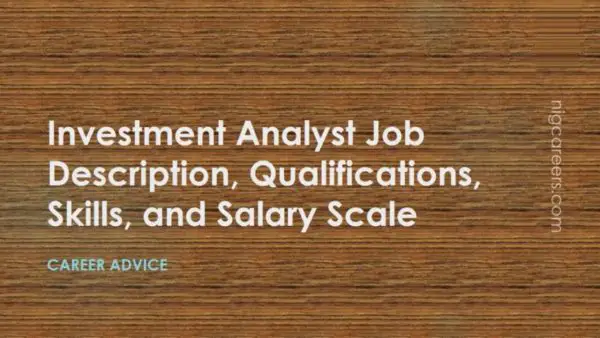 Investment Analyst Job Description