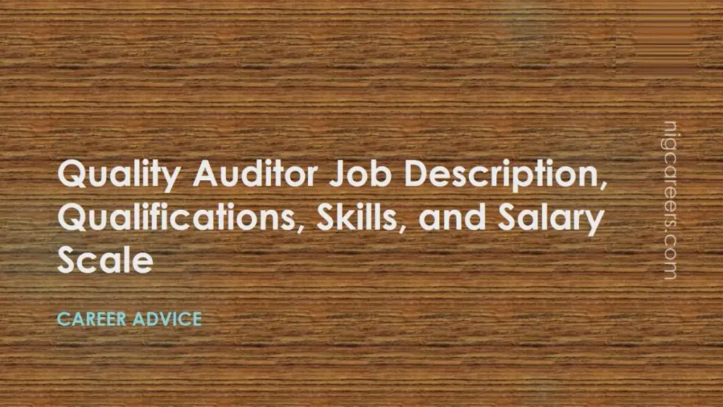 Qa Auditor Salary