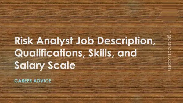 Risk Analyst Job Description