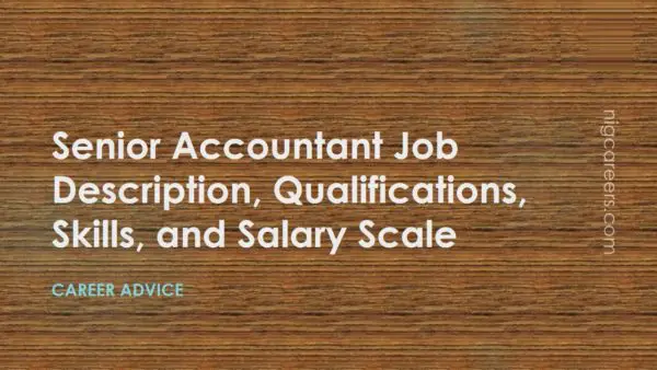 Senior Accountant Job Description