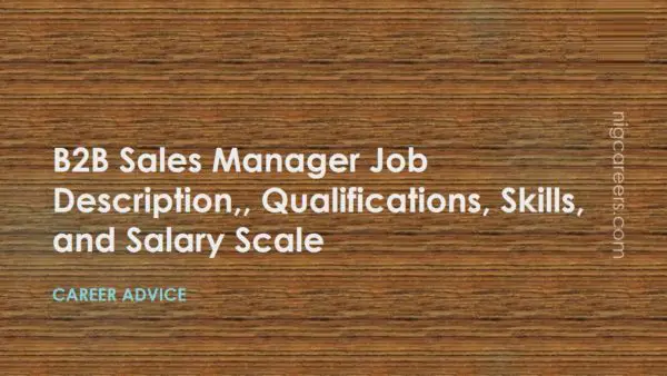 B2B Sales Manager Job Description