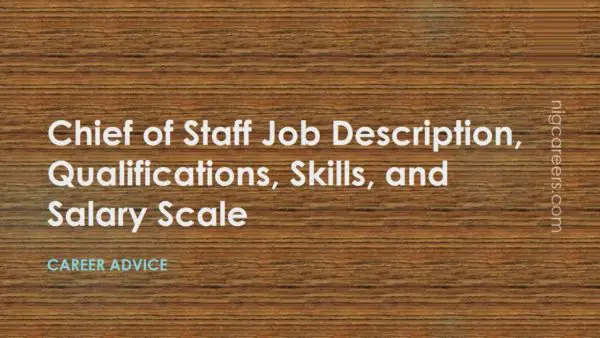 Chief of Staff Job Description