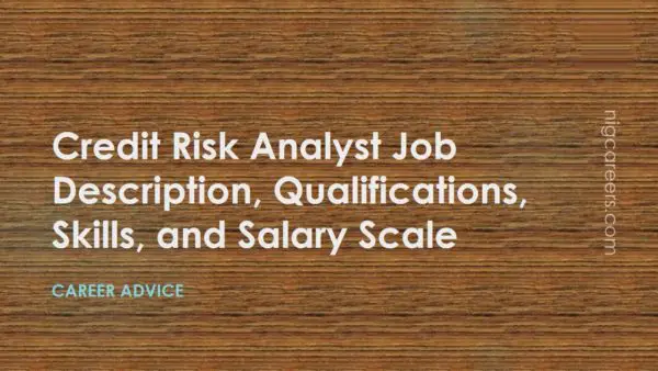 Credit Risk Analyst Job Description