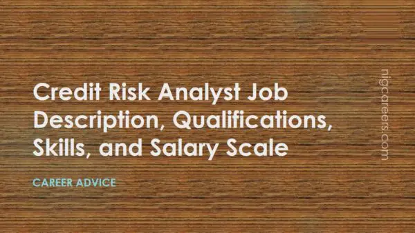 Job Description Of Credit Risk Analyst