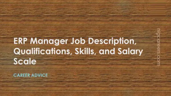 ERP Manager Job Description