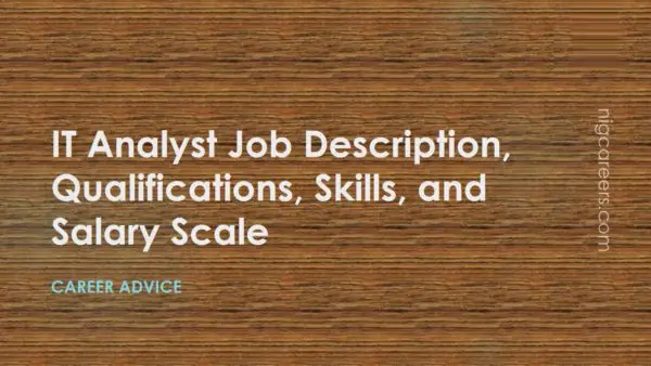 IT Analyst Job Description